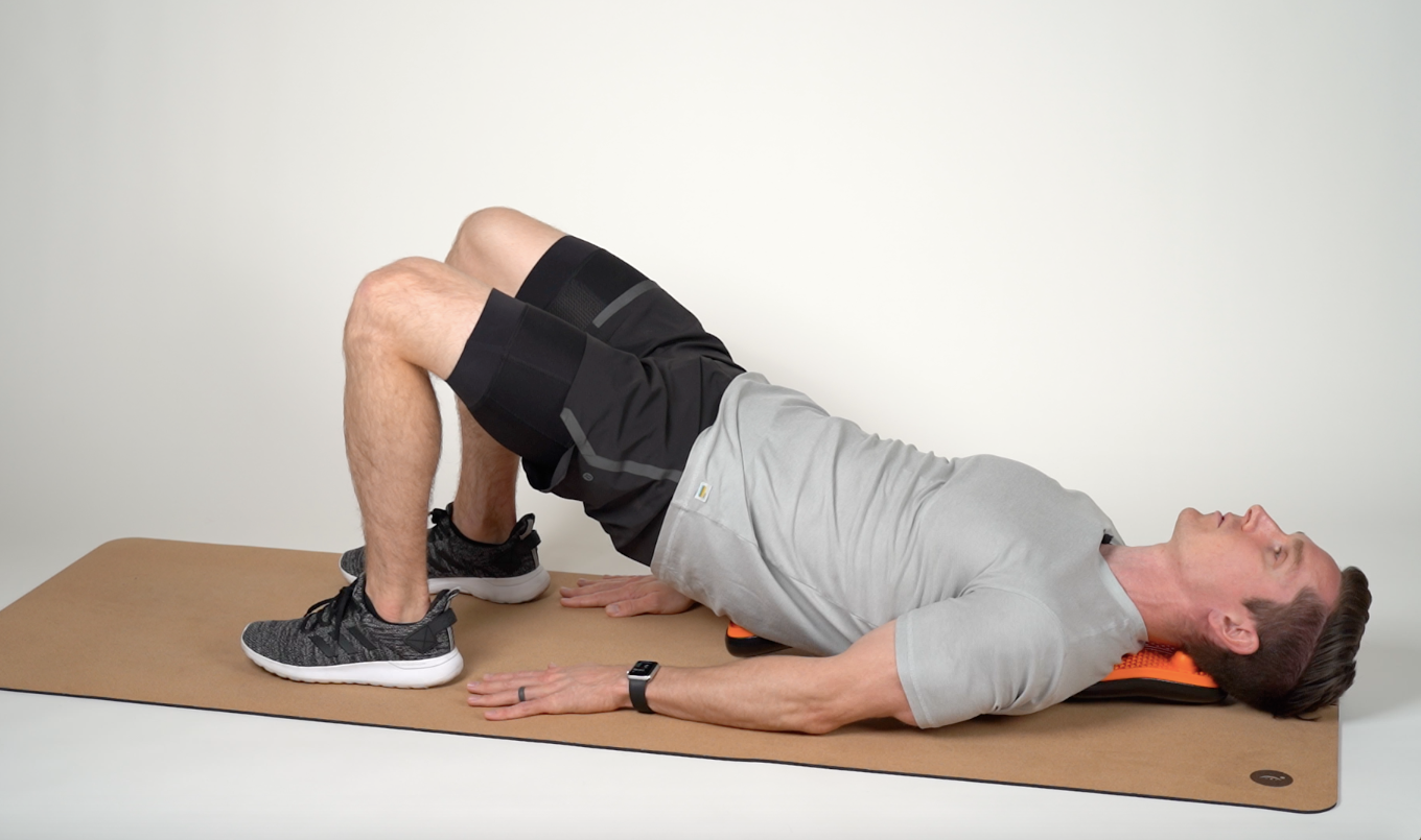 Proper Use Guide - Lifted Lumbar – Doctor Trigger