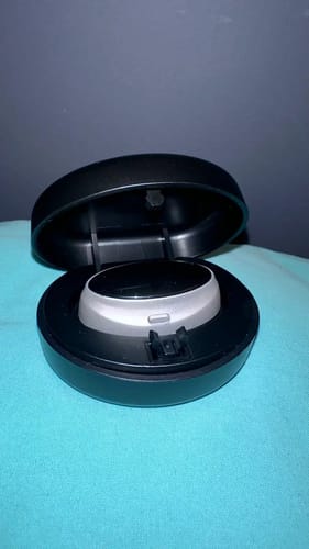 Fred T review